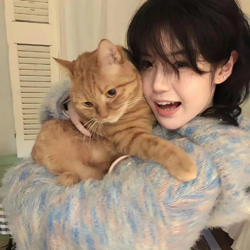 阳光俱乐部前传