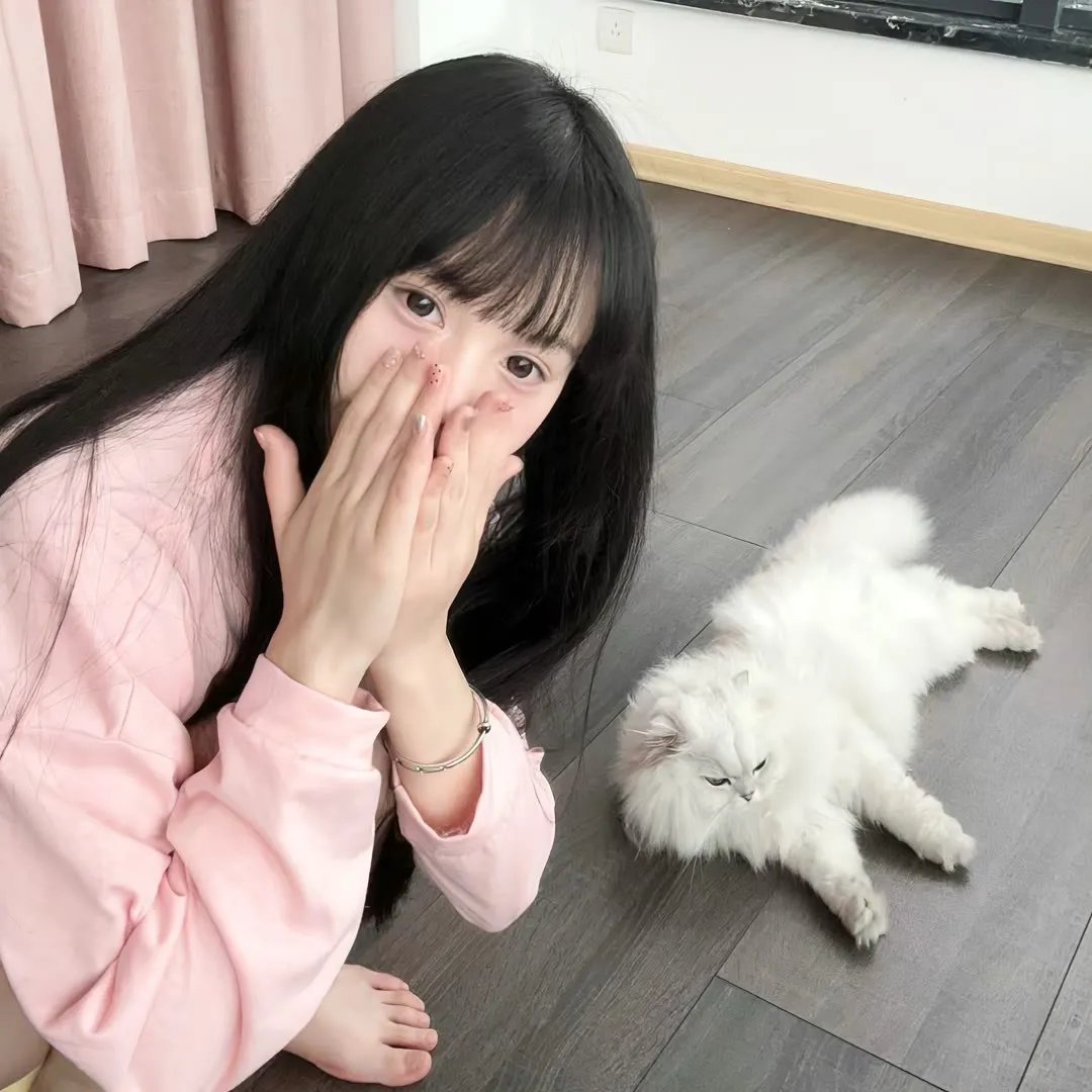 善良的阿呆 动态漫